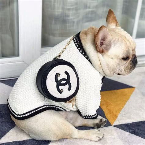 chanel dog purse|purrfect Chanel dog.